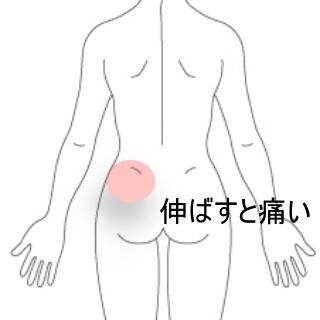 腰臀部