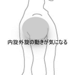 肩可動域