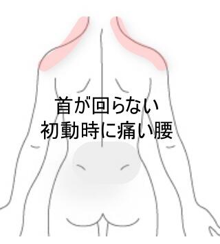 首と腰の痛み