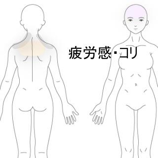 肩凝り首凝り