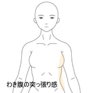 肋骨