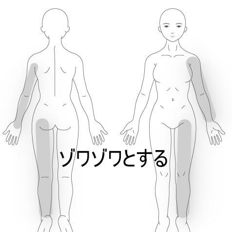 全身
