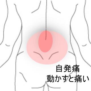 ようつう