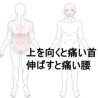 頸部腰部の痛み