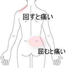 頸部腰部痛