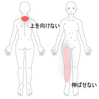 頸部&大腿部