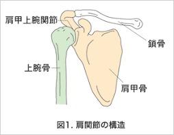 yjimage