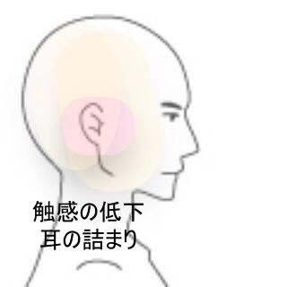 耳