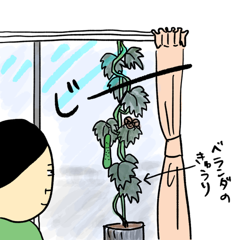 無題267_20230727123944