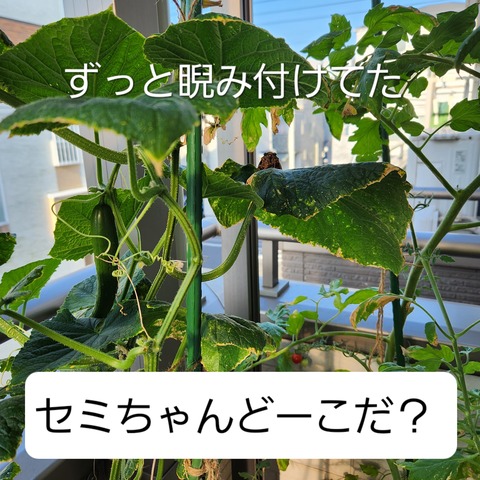 20230724_064538_Original
