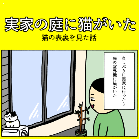 無題325_20231201141720