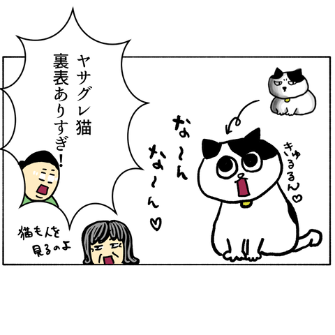 無題325_20231201142443