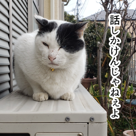 無題325_20231201141800