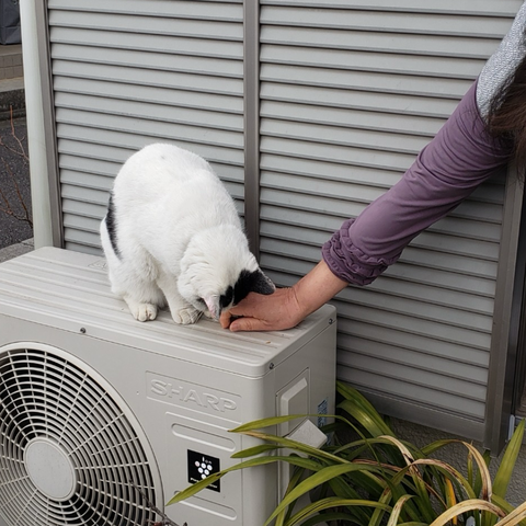 無題325_20231201141753