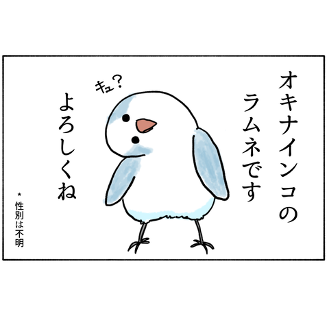 無題357_20250126081414