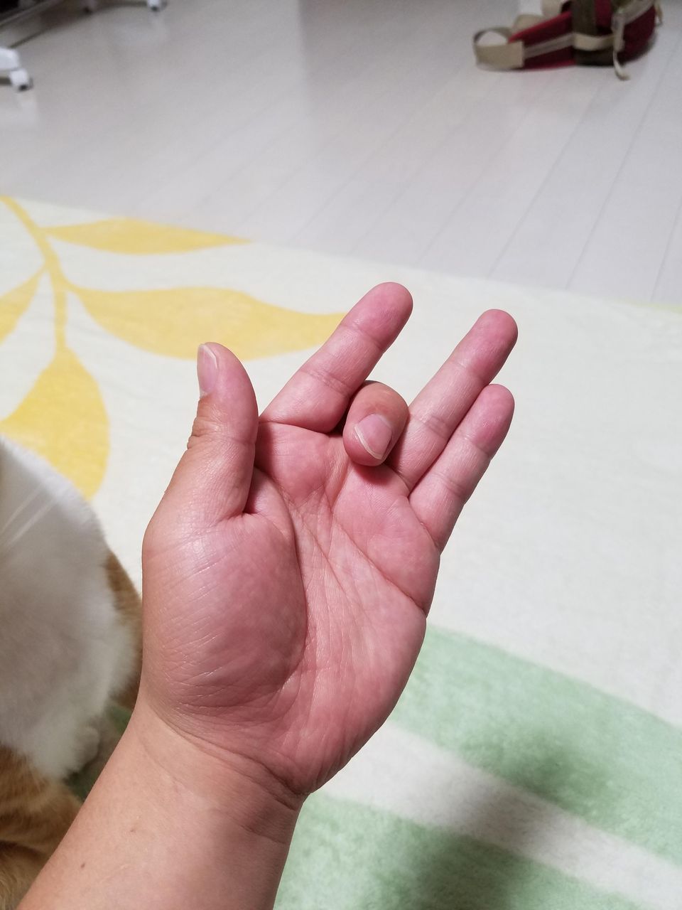 画像 これくらいの指曲げできないやつがいるらしいけど マジ スキャンダルニュース 画像 これくらいの指曲げできないやつがいるらしいけど マジ スキャンダルニュース