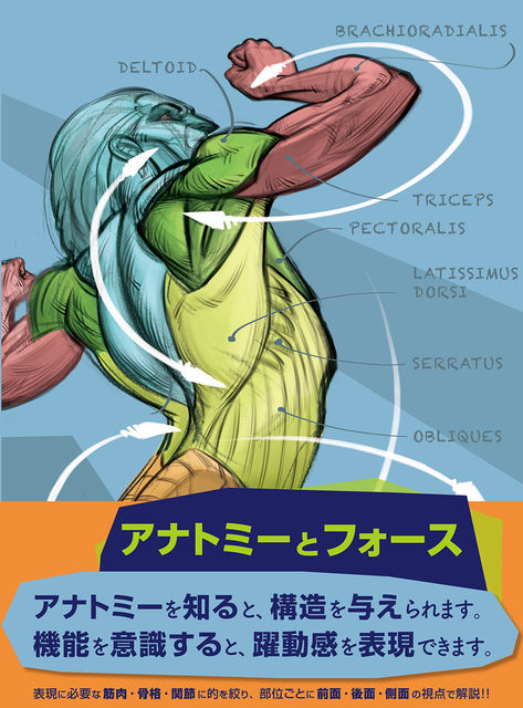 カラダの構造を理解し 生き生きとしたドローイングへ 書籍 アナトミーとフォース のご紹介 Liveup ボーンデジタルのブログ