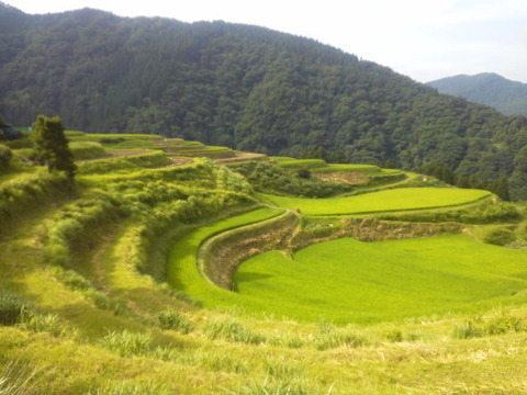 55a06047.jpg