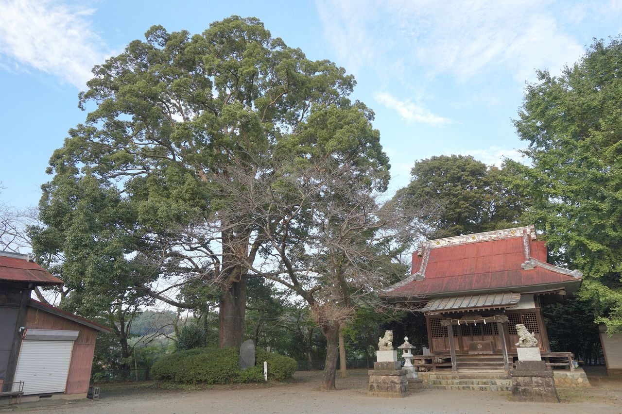 いかなる人も踏み迷う
	  毛利氏発祥の地・毛利季光屋敷跡（三島神社）