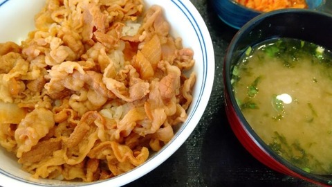 牛丼チェーン店で飯食ってる外人旅行者家族ｗｗｗｗｗｗｗ