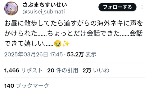 【朗報】星街すいせいちゃん、外国人に話しかけられて英語で会話した事を報告
