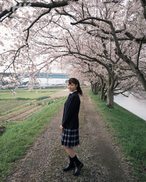 女優ルックス四天王90年代奥菜恵・内田有紀 00年代：新垣結衣・上戸彩 10年代：浜辺美波・橋本環奈