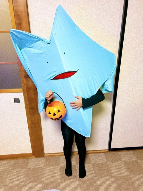 vtuberは「びわ湖くん」と「星街すいせい」しか見てないんだが