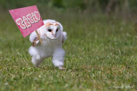 【ホロライブ】みこめっと、デカくなったなあ