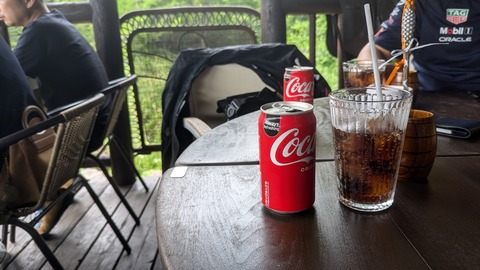 コーラの恐ろしい一面！科学的に解き明かされる歯の溶解現象：コーラを飲むと歯が溶けるは科学的に正しい