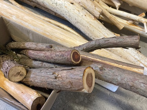 木材の正しい捨て方とリサイクル方法「木が増えたー廃棄しないと(￣▽￣;)」