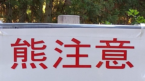 住宅地に出たクマへの銃の使用を認め、法改正する方向性を了承　環境省有識者会議