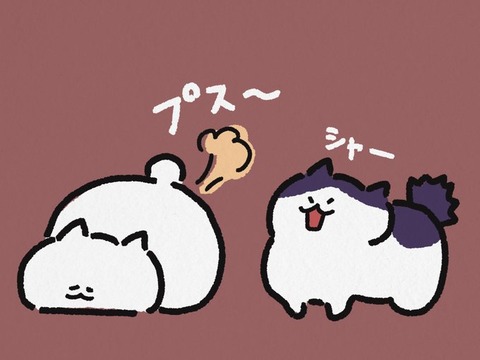 ネコ「ｼｬｰ!????」←かわいい