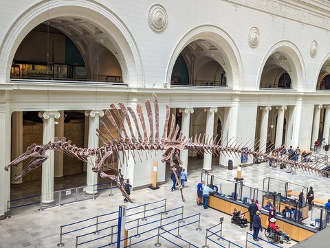 【ナゾロジー】恐竜を絶滅させた巨大隕石、現代に落ちたら人類は滅亡するのか？