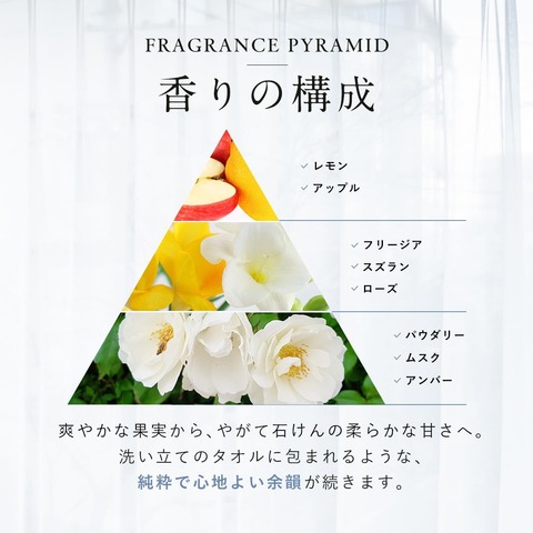 61aMinLArmL._AC_SL1250_