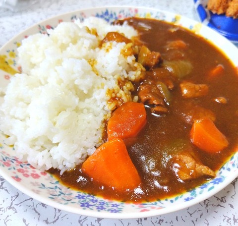 1軍女性さん「男はヒレカツ、エビフライ、カレーライス、唐揚げを作れば簡単に堕ちる」