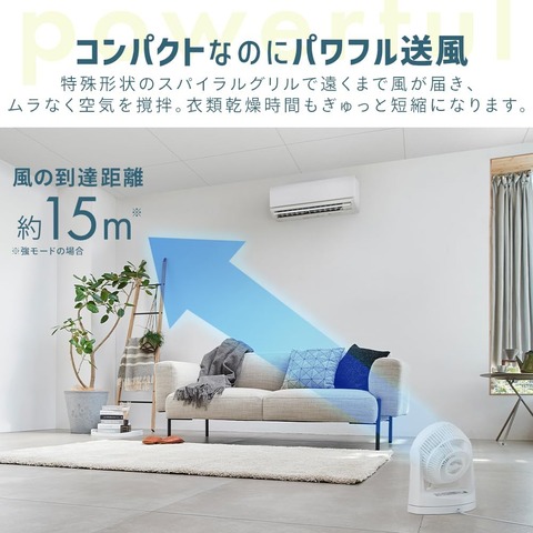 61MgGLi+8XL._AC_SL1000_