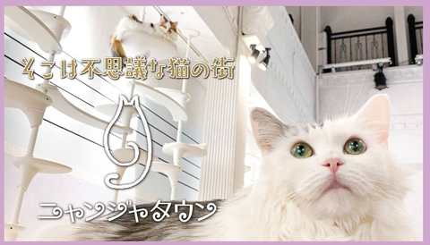 PLACEHOLDER_545b796399aafe35_4
