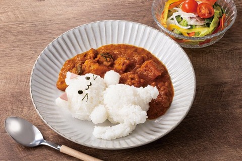 【画像】ビーフカレー、ポークカレー、ベジタブルカレー…。あらゆるカレーの中で「最弱」のカレーは