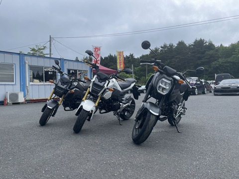 免許センターで練習中、フェンスに衝突：ミニバイクの75歳重傷