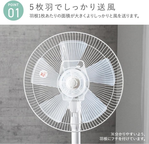 61jrOCjtpPL._AC_SL1000_