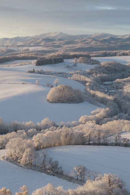 北海道に来たから写真貼っていく！！！