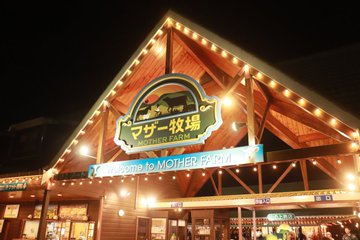 千葉：絶景とイルミネーションの融合「マザー牧場 光の花園 ～絵本の世界～」