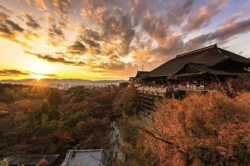 関西の初詣スポットランキング！見逃せない5つの神社と寺院