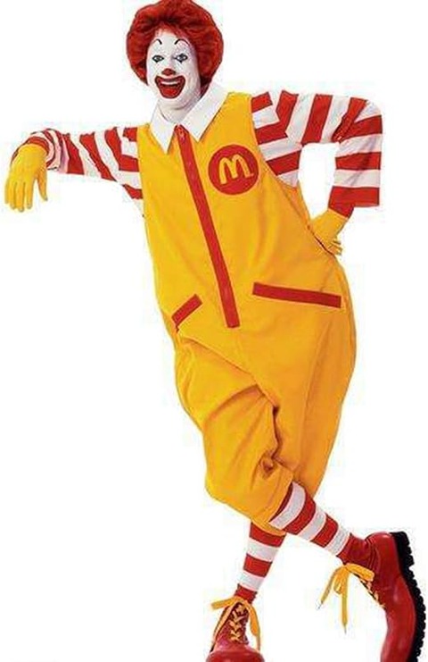 51lFqh9cBaL._AC_SX522_