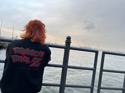 【最後の名作】ドラゴンボール、ハンターハンター、スラムダンク←ここらへんを超える漫画って今だに出てこないよな