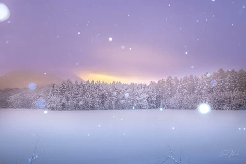 【都会】移住なんてするんじゃなかった…念願の田舎暮らしを実現した68歳夫婦の後悔。穏やかな余生を送るはずが、わずか3年で東京に舞い戻ったワケ