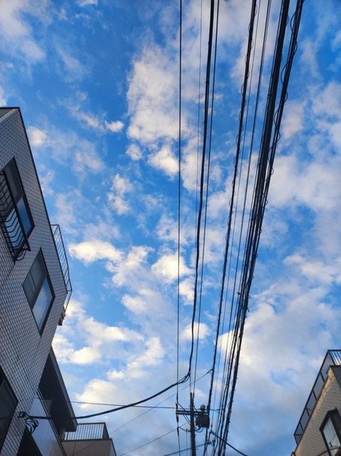 【千葉】電柱から電線1600m盗まれる　電気が使えず…街は「真っ暗です」