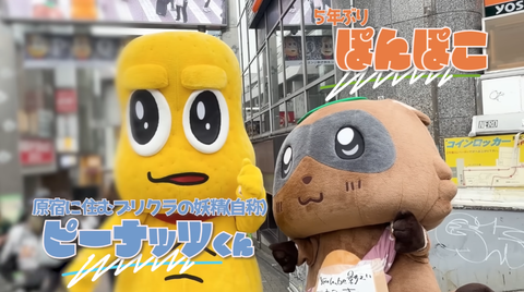 【ピーナッツくんでもこの認知度か･･･】結構ガッカリだったな・・・後半はギリギリだったな！まだまだ伸び率が上がる二人組【ぽんぽこ・ピーナッツくん】