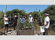 鉄腕DASH 実況「割りばし鉄砲で世界記録挑戦」