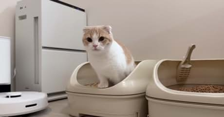 918dd99f-1c0b-4d23-8d6e-e715460a35a5